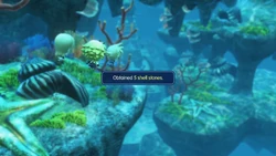 WoFF The Sea Shell Stone