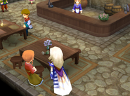 Items shop in the pub (DS/iOS).