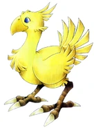 Yellow Chocobo.