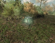 FFXI Harden Shell.png (540 KB) Harden Shell.