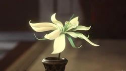 White wyvern tail.