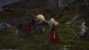 Llofii in battle
