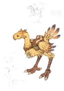 Chocobo FFXI Art.jpg (396 KB) Concept art.