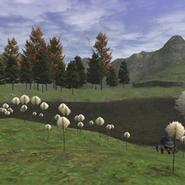 LaTheine.jpg (83 KB) La Theine Plateau (L-5)