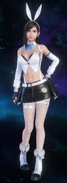 Bunny Bustier set.