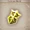 Lustrous Shield (equipment)