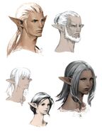 Player Elezen FFXIV Portrait Art