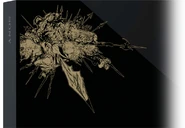 FFXIV A Realm Reborn Edition PS4 Close-up.png (262 KB) Artwork close-up.