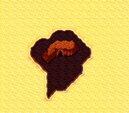 The island on the world map (SNES).