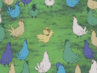 Episode 11 Chocobos