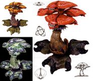 Concept Art of Different Fungus-type Fiends.