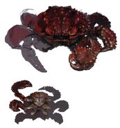 Crab FFXIV Art