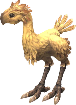 Chocobo (Final Fantasy XI) | Final Fantasy Wiki | Fandom