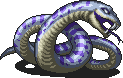 Sea Snake