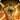 Mind of the Mountaineer from Final Fantasy XIV icon