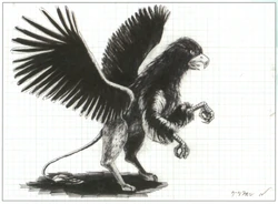 Griffin FFII Artwork