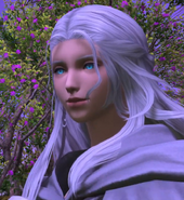 Venatichi.png (1.19 MB) Close up.