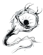 Amano Parasite FFII.jpg (97 KB) Parasite
