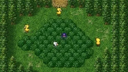 Chocobo Forest (PSP).