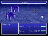 Final Fantasy IV: The After Years (Wii).