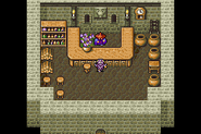 Mysidia's Item shop (GBA).