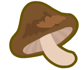 Brown Mushroom CCT