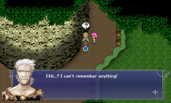 FFV Amnesia