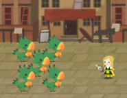 Green Chocobo (x5)