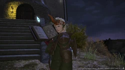 Summoner in-game.