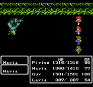 Final Fantasy II (NES).