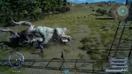 Phalaris vulnerable in FFXV.png (2.21 MB)