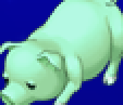 Pig portrait for Rydia and Tsukinowa in Final Fantasy IV: The After Years (PSP).