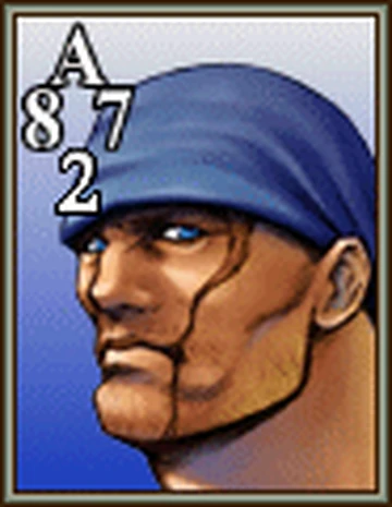 Ward (Final Fantasy VIII card) | Final Fantasy Wiki | Fandom