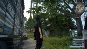 Cape Caem almanac entry location from FFXV.png