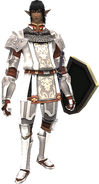 Paladin