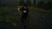 Yellow-Frog-FFXV