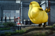 Y'jhimei and her chocobo.