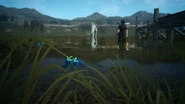 Final fantasy XV cherished frogs.jpg (230 KB) Cherished frogs.