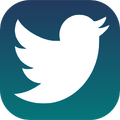 Twitter logo personnalisé.png