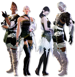 Elezen CG.png