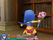 EoT Cloudsweeper Broom