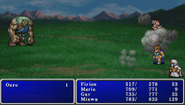 Final Fantasy II (PSP).
