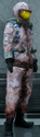 Noctis
