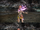 FFXIII Vanille Victory Pose.png