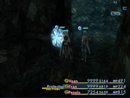 FFXII Protectga