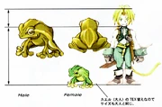 Concept art of a golden frog.