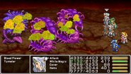 FFIVPSP Bio.png (118 KB) Bio