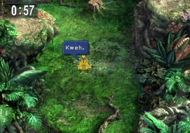 Chocobo Hot and Cold, Final Fantasy Wiki