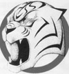 Tiger Mask