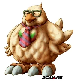 Chocobo Stallion.